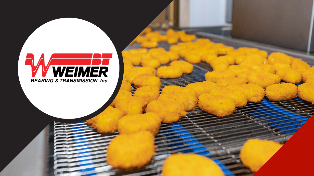 wire belt conveyor designed for washdown environments